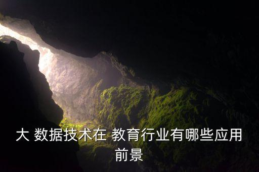 大 數(shù)據(jù)技術(shù)在 教育行業(yè)有哪些應(yīng)用前景
