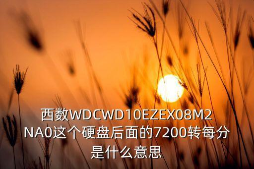 西數(shù)WDCWD10EZEX08M2NA0這個(gè)硬盤后面的7200轉(zhuǎn)每分是什么意思