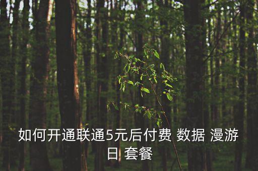 如何開通聯(lián)通5元后付費(fèi) 數(shù)據(jù) 漫游日 套餐