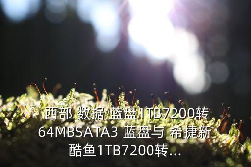  西部 數(shù)據(jù) 藍(lán)盤(pán)1TB7200轉(zhuǎn)64MBSATA3 藍(lán)盤(pán)與 希捷新酷魚(yú)1TB7200轉(zhuǎn)...