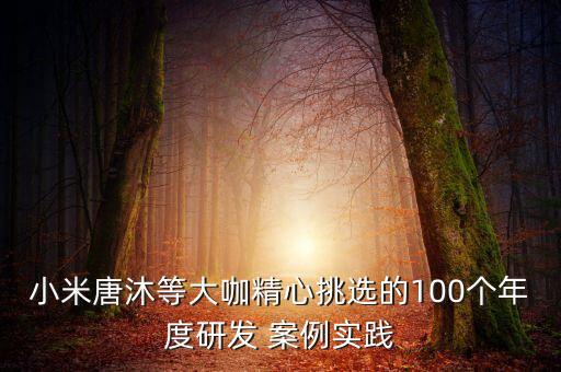小米唐沐等大咖精心挑選的100個年度研發(fā) 案例實踐