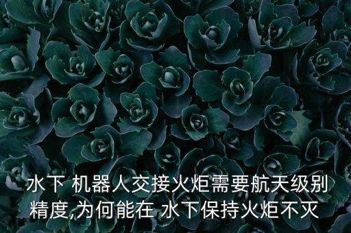 水下機(jī)器人國內(nèi)政策