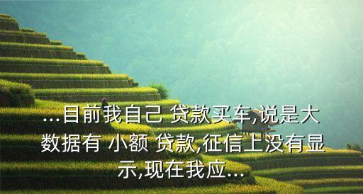 ...目前我自己 貸款買車,說是大 數(shù)據(jù)有 小額 貸款,征信上沒有顯示,現(xiàn)在我應(yīng)...