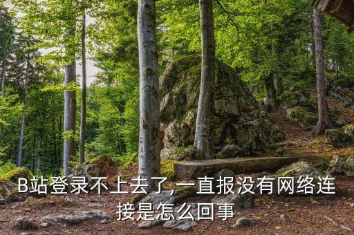B站登錄不上去了,一直報(bào)沒有網(wǎng)絡(luò)連接是怎么回事