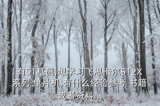 有51基礎(chǔ),想學(xué)習飛思卡爾S12X系列 單片機,有什么經(jīng)驗參考 書籍或者資料...
