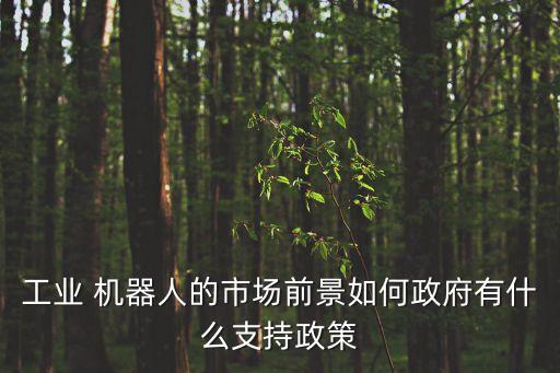 工業(yè) 機(jī)器人的市場(chǎng)前景如何政府有什么支持政策