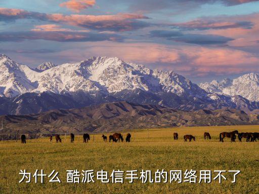 酷派5270數(shù)據(jù)開關(guān)