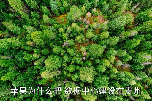 Facebook數(shù)據(jù)中心服務(wù)器數(shù)量,大數(shù)據(jù)中心服務(wù)器和機柜數(shù)量