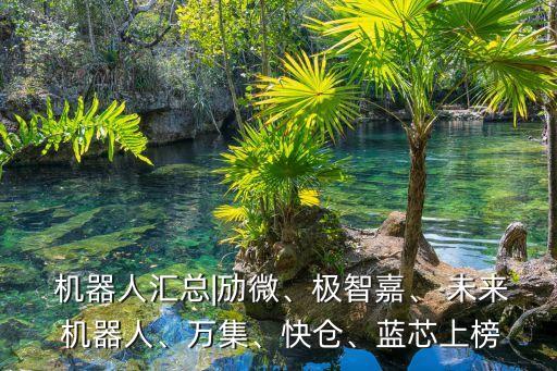  機(jī)器人匯總|勱微、極智嘉、 未來 機(jī)器人、萬集、快倉、藍(lán)芯上榜