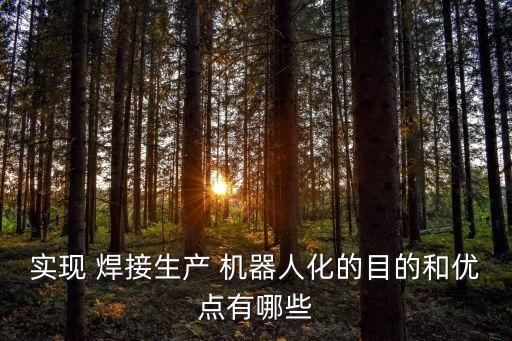 實(shí)現(xiàn) 焊接生產(chǎn) 機(jī)器人化的目的和優(yōu)點(diǎn)有哪些