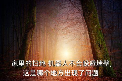  家里的掃地 機器人不會躲避墻壁,這是哪個地方出現(xiàn)了問題