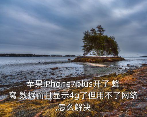 蘋果iPhone7plus開了 蜂窩 數(shù)據(jù)而且顯示4g了但用不了網(wǎng)絡(luò),怎么解決