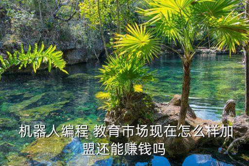  機(jī)器人編程 教育市場(chǎng)現(xiàn)在怎么樣加盟還能賺錢嗎