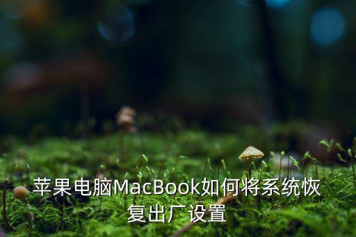 mbp花屏 自動(dòng)重啟,蘋(píng)果11花屏自動(dòng)重啟什么情況