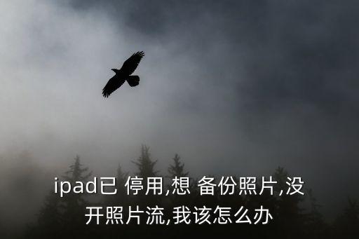 ipad已 停用,想 備份照片,沒開照片流,我該怎么辦