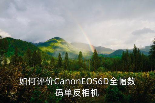 如何評價CanonEOS6D全幅數(shù)碼單反相機