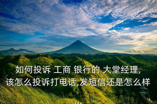 如何投訴 工商 銀行的 大堂經(jīng)理,該怎么投訴打電話,發(fā)短信還是怎么樣...