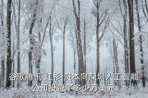 谷歌騰訊 紅杉 資本向深圳人工智能公司投資了多少萬美元
