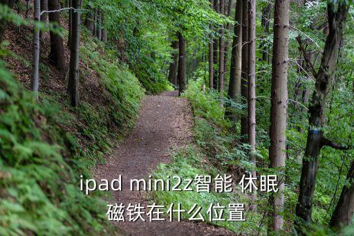  ipad mini2z智能 休眠磁鐵在什么位置