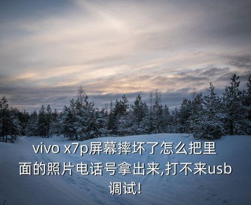 vivo x7p屏幕摔壞了怎么把里面的照片電話號(hào)拿出來,打不來usb調(diào)試!