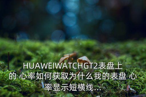 HUAWEIWATCHGT2表盤上的 心率如何獲取為什么我的表盤 心率顯示短橫線...