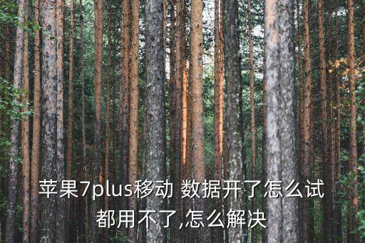 iphone7plus應(yīng)用與數(shù)據(jù)