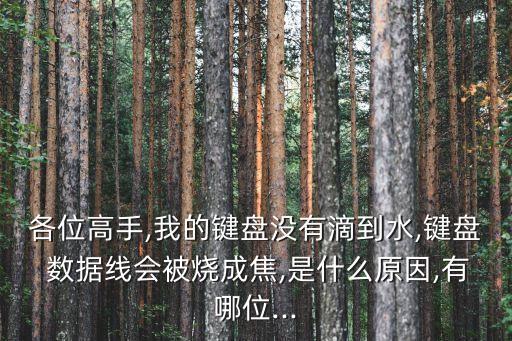 蘋果數(shù)據(jù)線很容易焦
