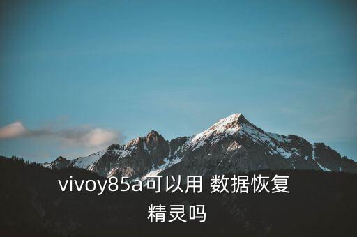 數(shù)據(jù)精靈有什么用的,升級數(shù)據(jù)進(jìn)化什么精靈