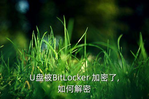 bitlocker自動加密,沒有bitlocker怎么加密u盤