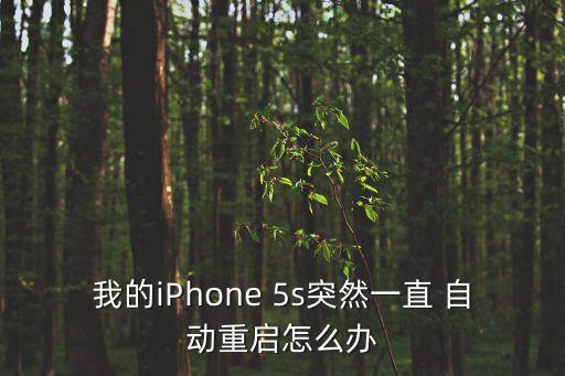 我的iPhone 5s突然一直 自動(dòng)重啟怎么辦