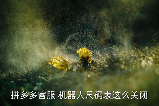 拼多多客服 機(jī)器人尺碼表這么關(guān)閉