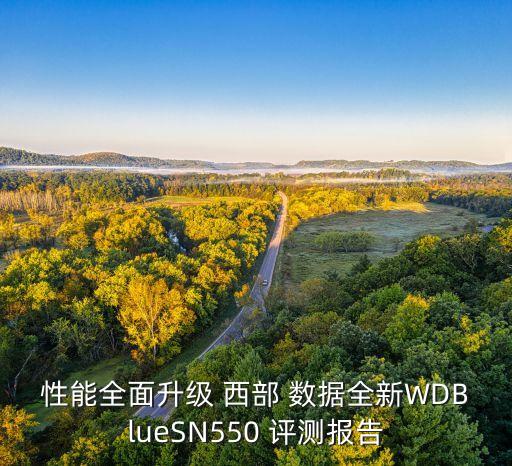 性能全面升級 西部 數(shù)據(jù)全新WDBlueSN550 評測報告