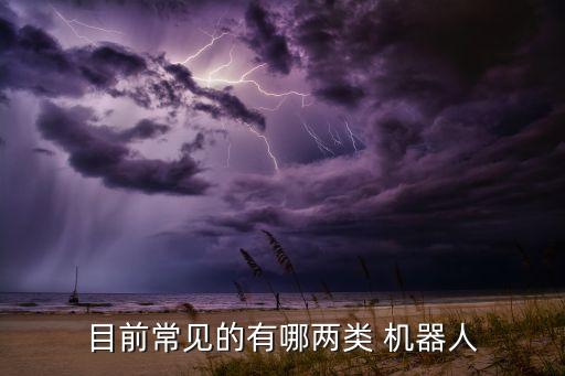 你身邊的機(jī)器人有那些,舉出你身邊的實(shí)際機(jī)器人例子