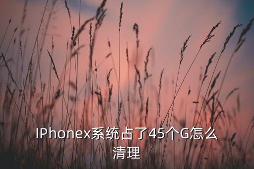 IPhonex系統(tǒng)占了45個(gè)G怎么清理