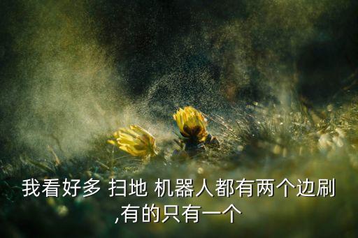 我看好多 掃地 機器人都有兩個邊刷,有的只有一個