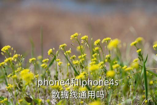 蘋果4數(shù)據(jù)線有賣的嗎,賣山寨蘋果數(shù)據(jù)線侵權(quán)嗎