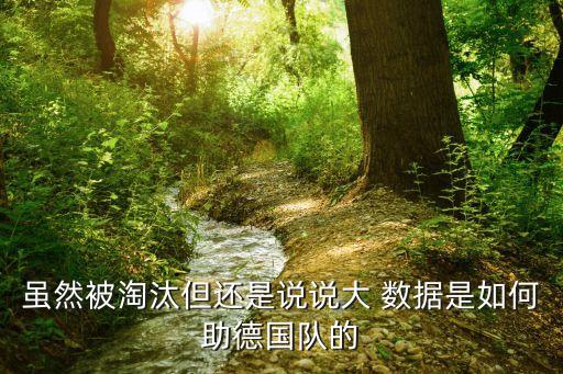大數(shù)據(jù) 歐洲,歐洲數(shù)據(jù)保護(hù)條例