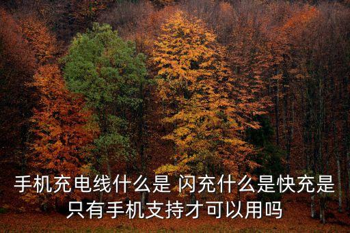 手機(jī)充電線什么是 閃充什么是快充是只有手機(jī)支持才可以用嗎