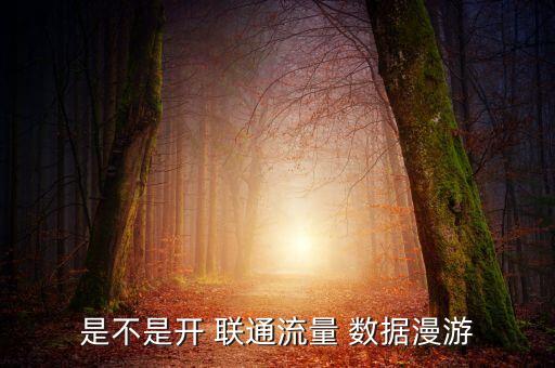 是不是開(kāi) 聯(lián)通流量 數(shù)據(jù)漫游