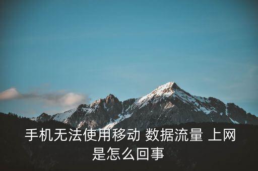  手機(jī)無法使用移動 數(shù)據(jù)流量 上網(wǎng)是怎么回事