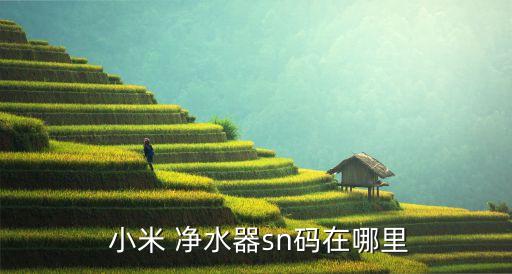  小米 凈水器sn碼在哪里
