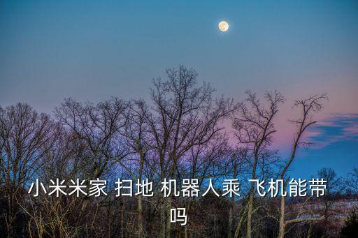 小米米家 掃地 機(jī)器人乘 飛機(jī)能帶嗎