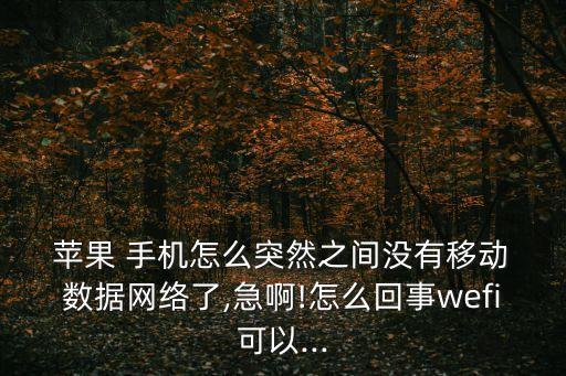 蘋果手機(jī)數(shù)據(jù)使用不到