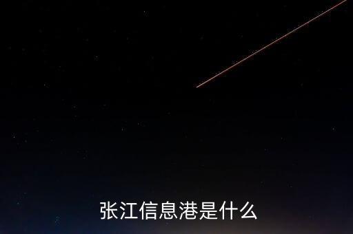  張江信息港是什么