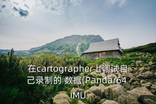 imu數(shù)據(jù)錯誤,IMU沒有姿態(tài)數(shù)據(jù)