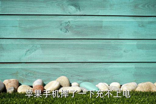 數(shù)據(jù)線摔了充不進(jìn)去電,新數(shù)據(jù)線充不進(jìn)去電是什么原因