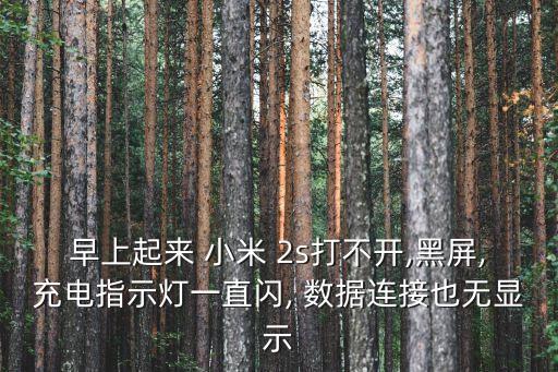 早上起來 小米 2s打不開,黑屏,充電指示燈一直閃, 數(shù)據(jù)連接也無顯示