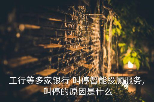 機(jī)器人對話 叫停,索菲亞機(jī)器人對話視頻