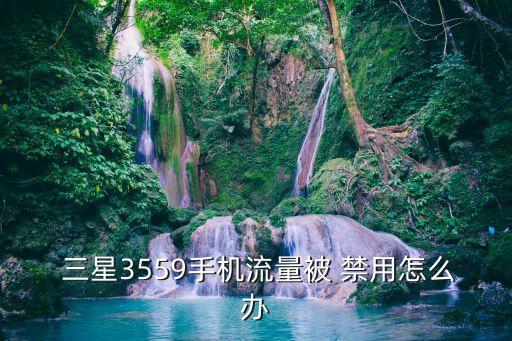 三星3559手機(jī)流量被 禁用怎么辦