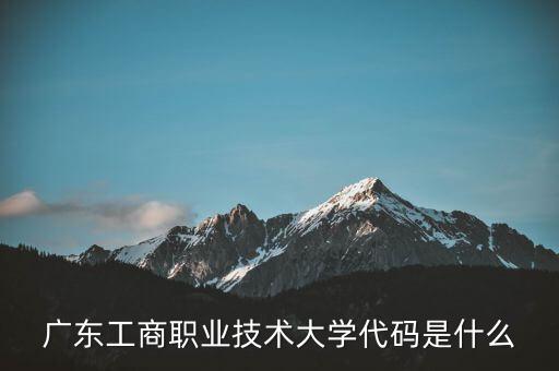 廣東工商職業(yè)技術大學代碼是什么